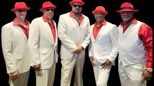 The Groove Squad band photo